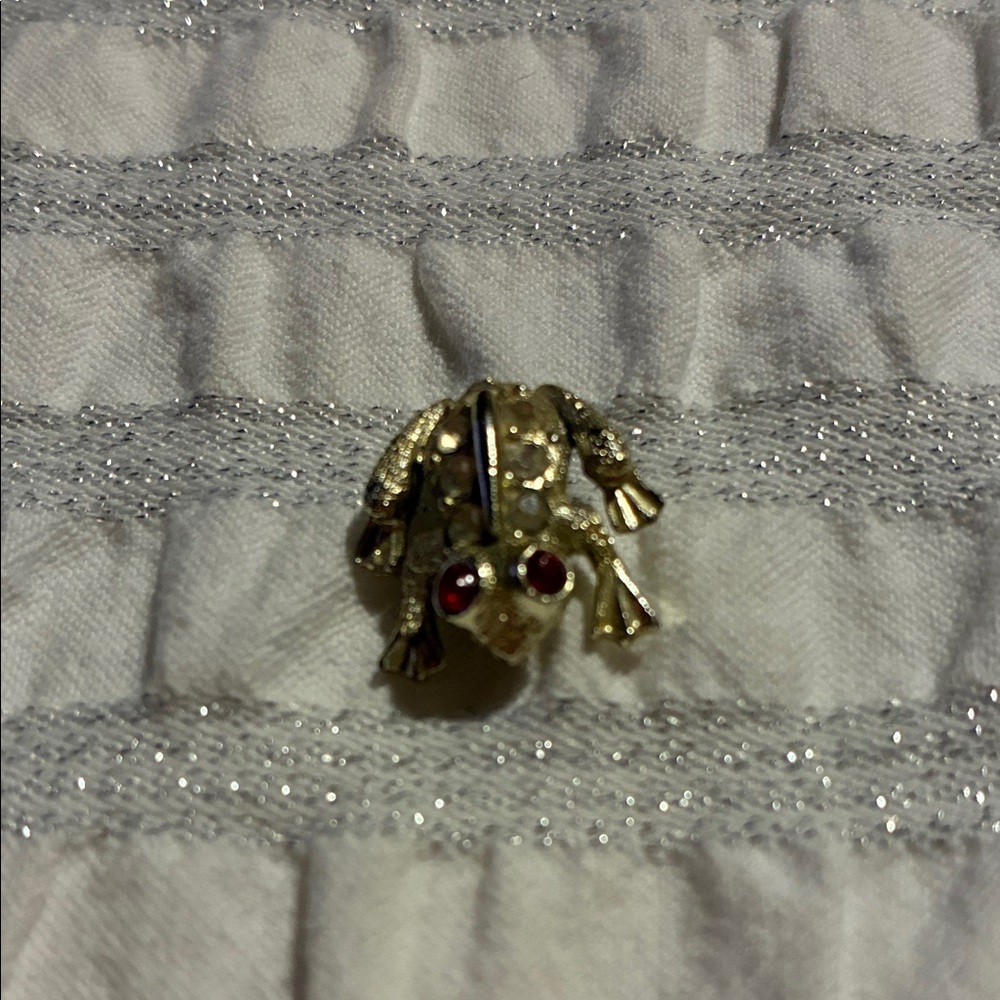 Elegant Gold and Red Frog Brooch